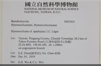 登錄號:F0035624藏品圖，第2張