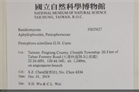 登錄號:F0035627藏品圖，第2張
