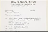 登錄號:F0035629藏品圖，第2張