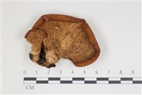 登錄號:F0035629藏品圖，第3張