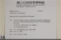 館號:F0035631藏品圖，第2張