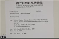 花耳屬藏品圖，第2張