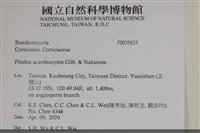 登錄號:F0035633藏品圖，第2張