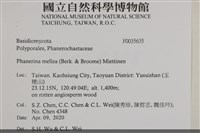 登錄號:F0035635藏品圖，第2張