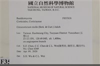 登錄號:F0035636藏品圖，第2張