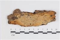 登錄號:F0035636藏品圖，第1張