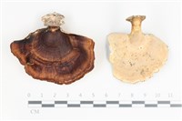 登錄號:F0035638藏品圖，第1張