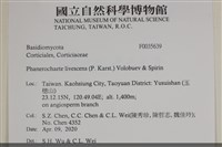 登錄號:F0035639藏品圖，第2張