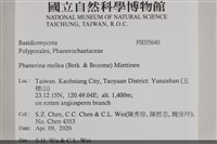登錄號:F0035640藏品圖，第2張