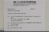 登錄號:F0035641藏品圖，第2張