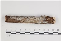 登錄號:F0035643藏品圖，第1張