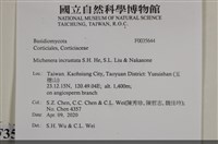 登錄號:F0035644藏品圖，第2張