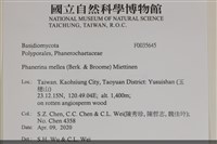 登錄號:F0035645藏品圖，第2張