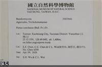 登錄號:F0035646藏品圖，第2張