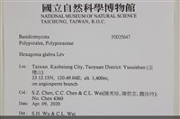 登錄號:F0035647藏品圖，第2張