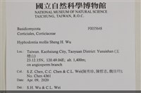 登錄號:F0035648藏品圖，第2張