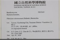 登錄號:F0035649藏品圖，第2張
