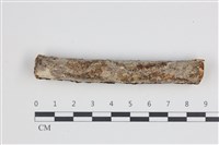 登錄號:F0035649藏品圖，第1張