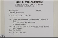 登錄號:F0035650藏品圖，第2張