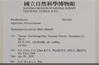 登錄號:F0035653藏品圖，第2張