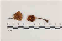登錄號:F0035653藏品圖，第1張