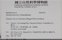 登錄號:F0035654藏品圖，第2張
