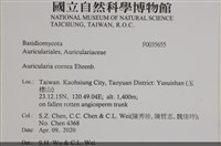 登錄號:F0035655藏品圖，第2張