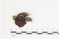 登錄號:F0035655藏品圖，第1張