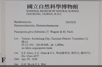 登錄號:F0035658藏品圖，第2張