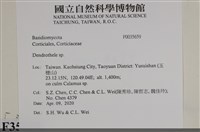 登錄號:F0035659藏品圖，第2張