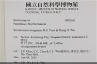登錄號:F0035661藏品圖，第2張