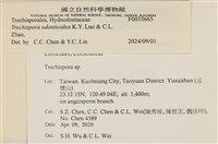 登錄號:F0035665藏品圖，第2張