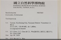 登錄號:F0035665藏品圖，第3張