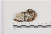 登錄號:F0035665藏品圖，第1張