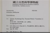 登錄號:F0035666藏品圖，第2張