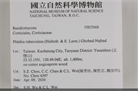 館號:F0035668藏品圖，第2張