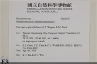 登錄號:F0035670藏品圖，第2張