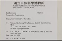登錄號:F0035671藏品圖，第2張