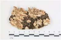 登錄號:F0035671藏品圖，第1張