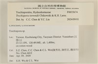 登錄號:F0035674藏品圖，第2張