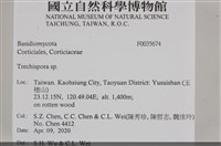 登錄號:F0035674藏品圖，第3張