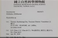 登錄號:F0035675藏品圖，第2張