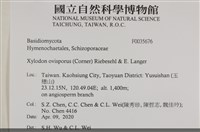 登錄號:F0035676藏品圖，第2張