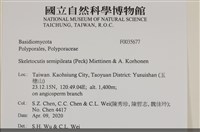 登錄號:F0035677藏品圖，第2張