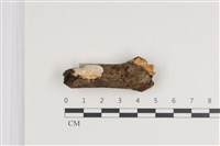登錄號:F0035677藏品圖，第1張