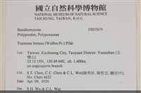 登錄號:F0035679藏品圖，第2張