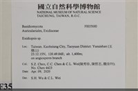 登錄號:F0035680藏品圖，第2張