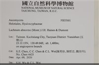 登錄號:F0035681藏品圖，第2張