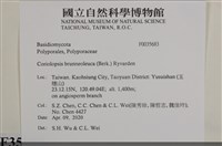 登錄號:F0035683藏品圖，第2張