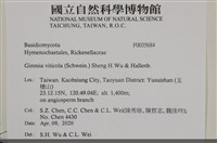 登錄號:F0035684藏品圖，第2張